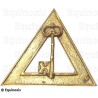 Bijou maçonnique d'Officier – Arche Royale Domatique – Trésorier