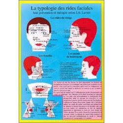 Planche la typologie des rides faciales 