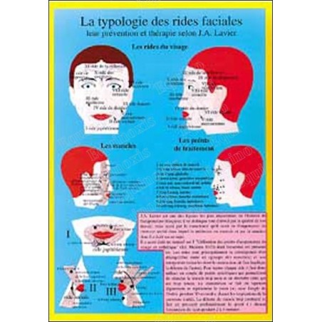 Planche la typologie des rides faciales 
