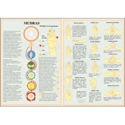 Planche Mudras et les cinq éléments 