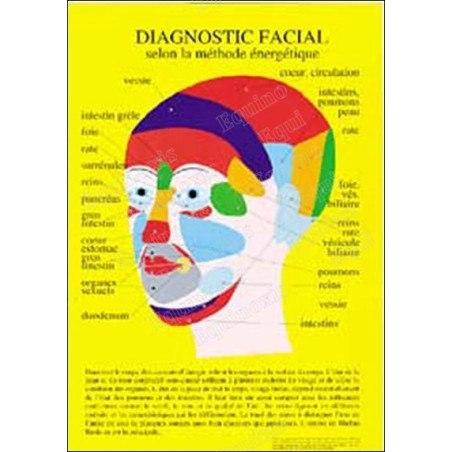 Planche diagnostic facial – Vente grossiste