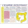 Planche l'hygiène intestinale