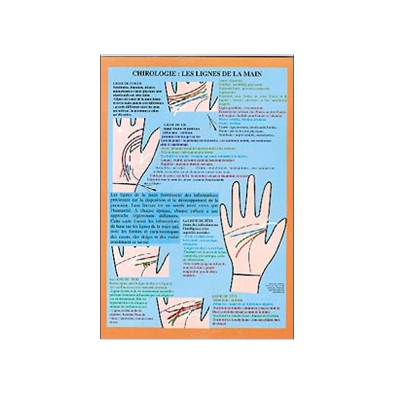 Planche chirologie: les lignes de la main 
